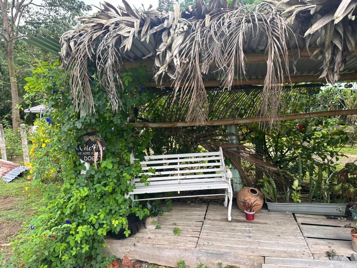 River Side Lodge Horquetas ภายนอก รูปภาพ